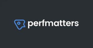 WordPress Plugin Perfmatters pro plugin latest version crack free download pricing changelog nulled alternative