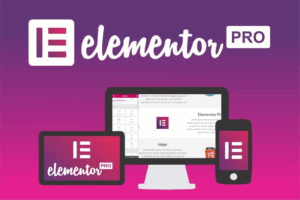 WordPress plugin elementor pro plugin free download pricing login templates themes advanced price changelog