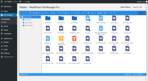 WordPress Plugin WP File Manager PRO latest version license key crack free download review tutorial features changelog